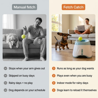 Automatic Dog Ball Launcher